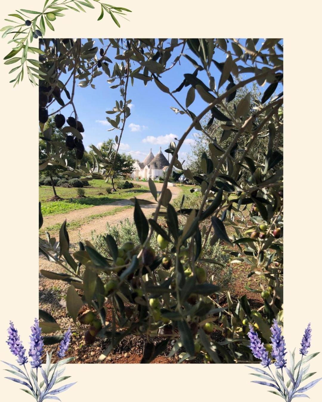 Trullo Trilli Puglia Villa Martina Franca Exterior photo